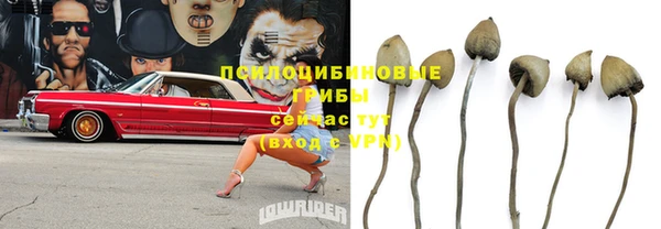 кокаин перу Белокуриха